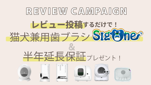 neikonu/PETKIT　レビューでプレゼントキャンペーン開催。