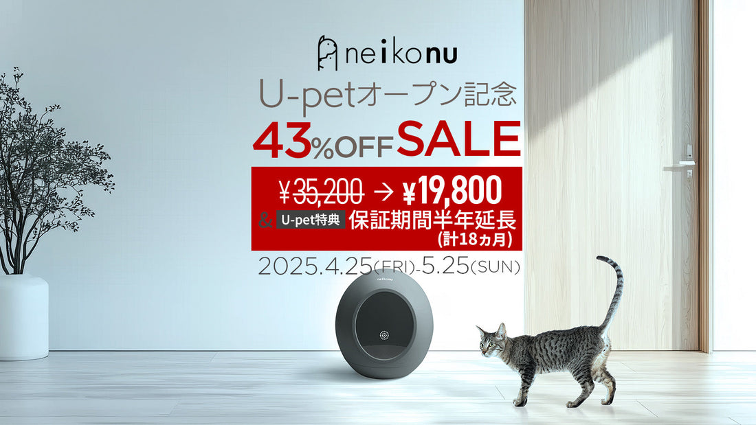 neikonuデビュー記念　SALE＆延長保証開催。