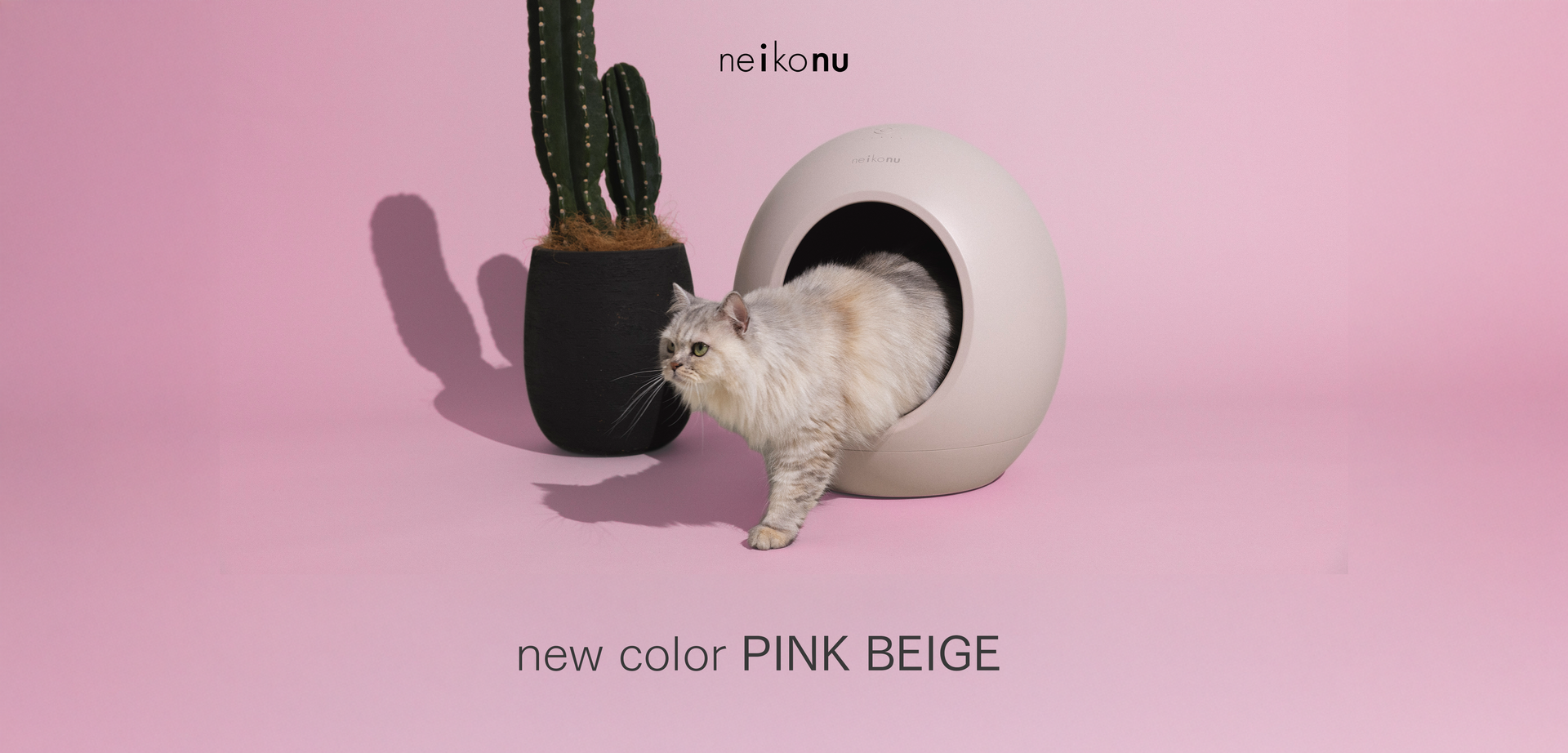 neikonu roomの魅力について