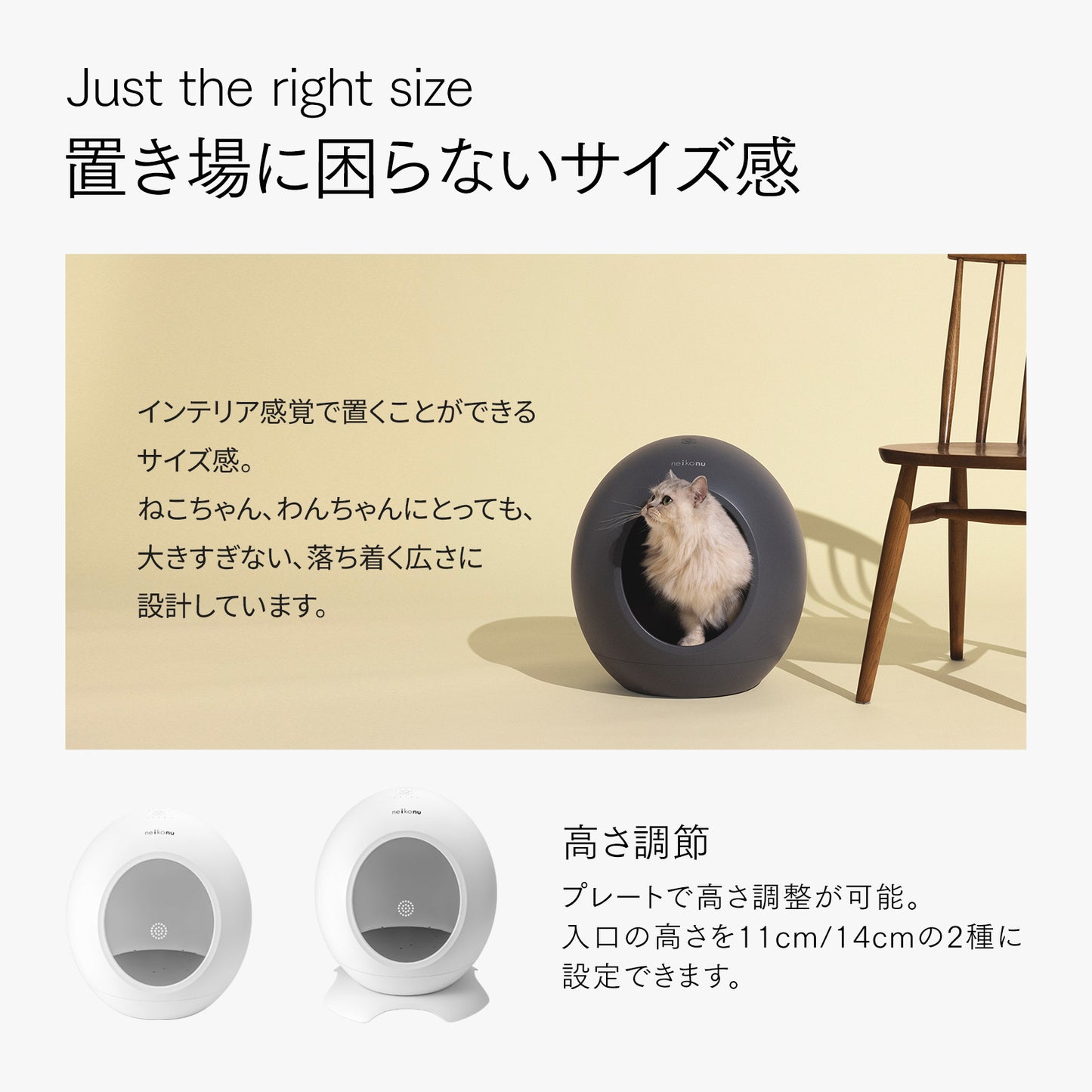 【outlet】neikonu  床冷房・床暖房　ペットルーム