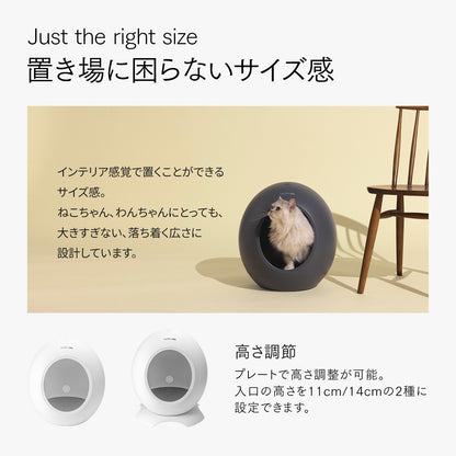 【outlet】neikonu  床冷房・床暖房　ペットルーム