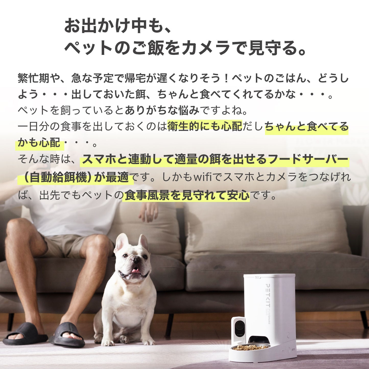 AIカメラ付き自動給餌機 / P571