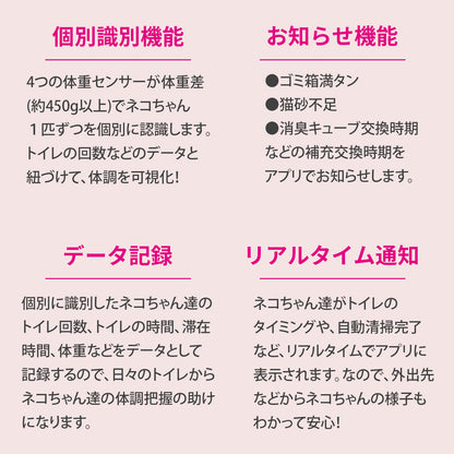 自動猫トイレ フルセット / P9902
